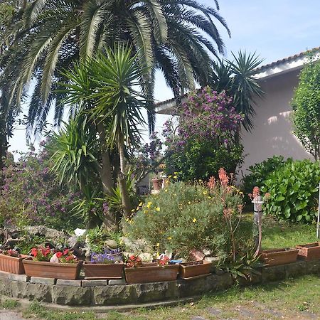 B&B Fra E Fe Arborea Zewnętrze zdjęcie