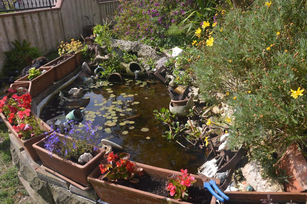 B&B Fra E Fe Arborea Zewnętrze zdjęcie